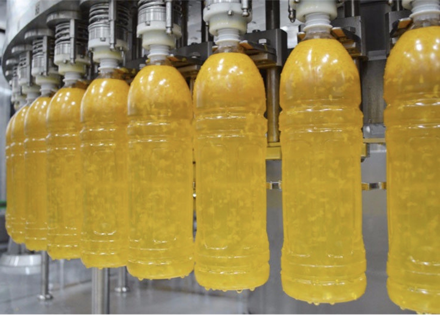 automatic mango juice making machine/500ml plastic bottles packing
