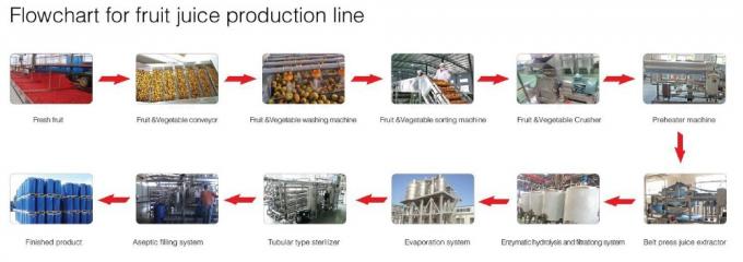 SUS304 Fruit Juice Processing Line Turnkey Project For Tomato Apple Strawberry