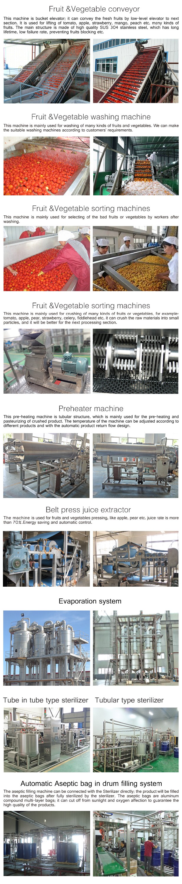 SUS304 Fruit Juice Processing Line Turnkey Project For Tomato Apple Strawberry