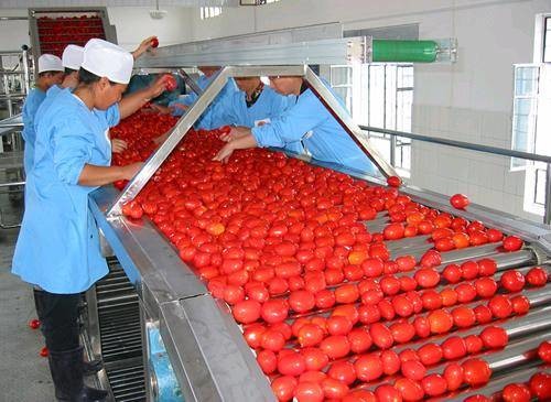SUS304 Fruit Juice Processing Line Turnkey Project For Tomato Apple Strawberry
